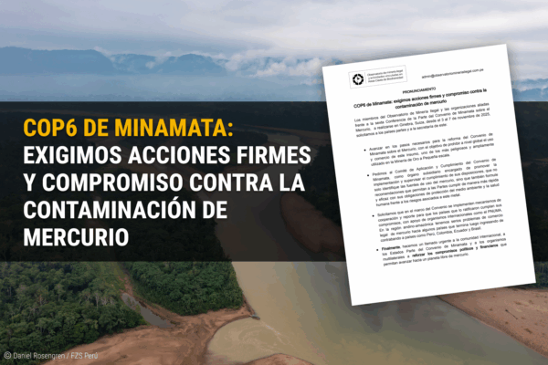 COP6 de Minamata: exigimos acciones firmes y compromiso contra la contaminación de mercurio