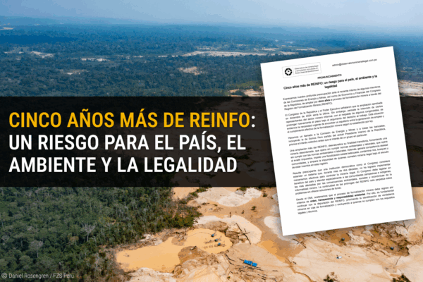 Cinco años más de REINFO: un riesgo para el país, el ambiente y la legalidad
