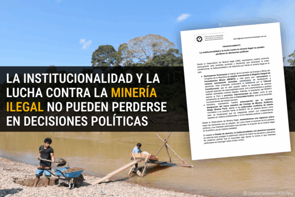 La institucionalidad y la lucha contra la minería ilegal no pueden perderse en decisiones políticas