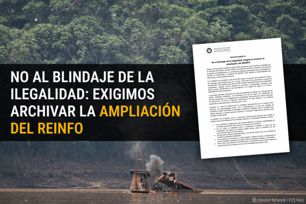 No al blindaje de la ilegalidad: Exigimos archivar la ampliación del REINFO